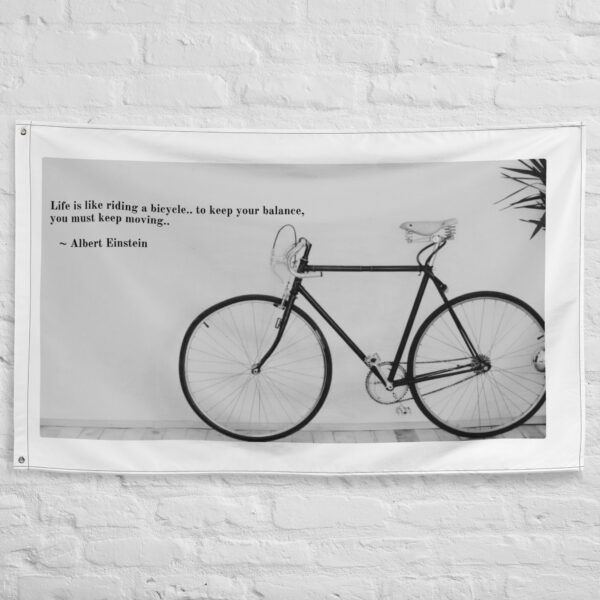 booboo Quotes - Einstein's Bicycle