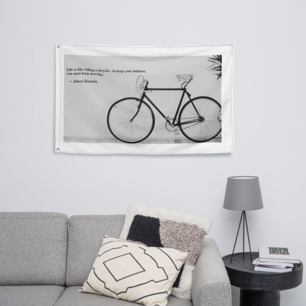 booboo Quotes - Einstein Bicycle - Image 9