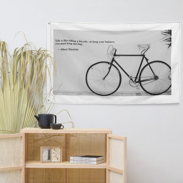 booboo Quotes - Einstein Bicycle - Image 8