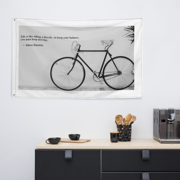 booboo Quotes - Einstein Bicycle - Image 7